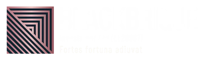 Blackbrique Investment Ltd
